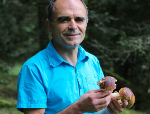 Webinaire : Champignons et territoires ruraux