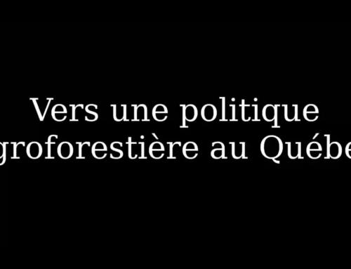 Capsule vidéo : Parlons politiques agroforestières